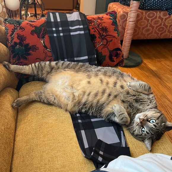 LIVE SHOW NOTIFICATION! - Picture 14 of 16